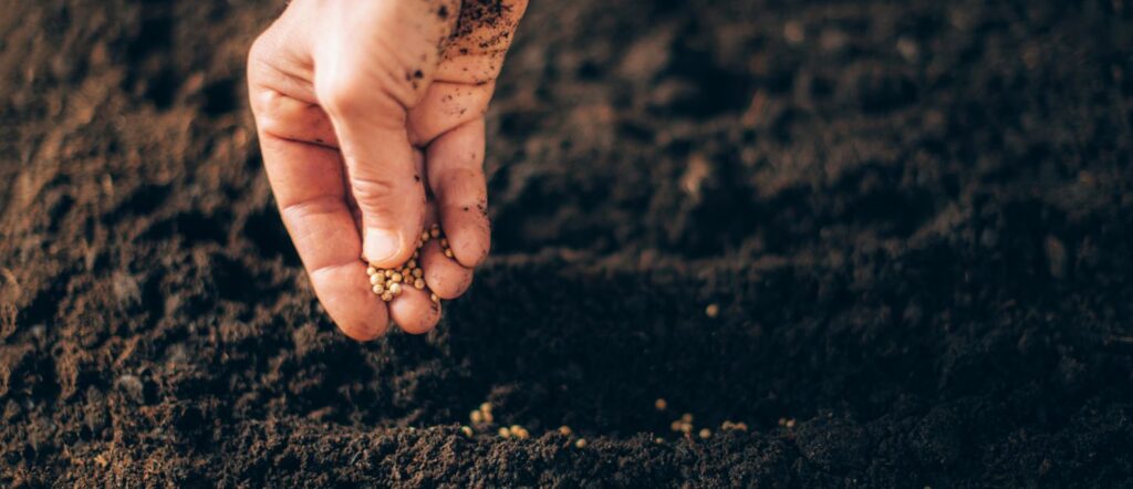Vědci varují: Připravované zemědělské dotace opět selžou v řešení problémů zhoršujícího se stavu půdy či poklesu biodiverzity. Ještě je však čas to změnit.