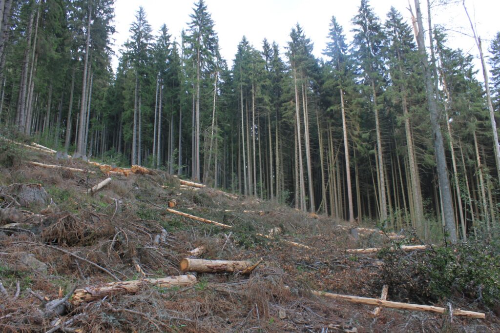 Poslanci ODS chtějí usnadnit spekulace s pozemky v národních parcích i dalších chráněných územích