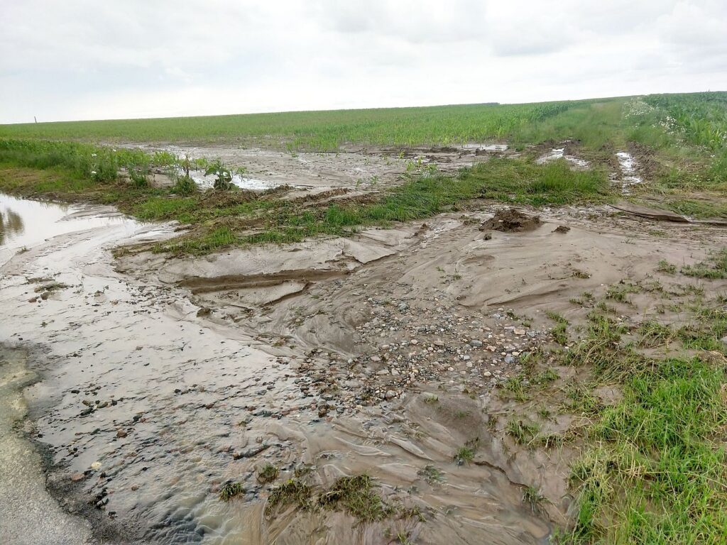 Nová zemědělská politika EU podporuje další destrukci přírody