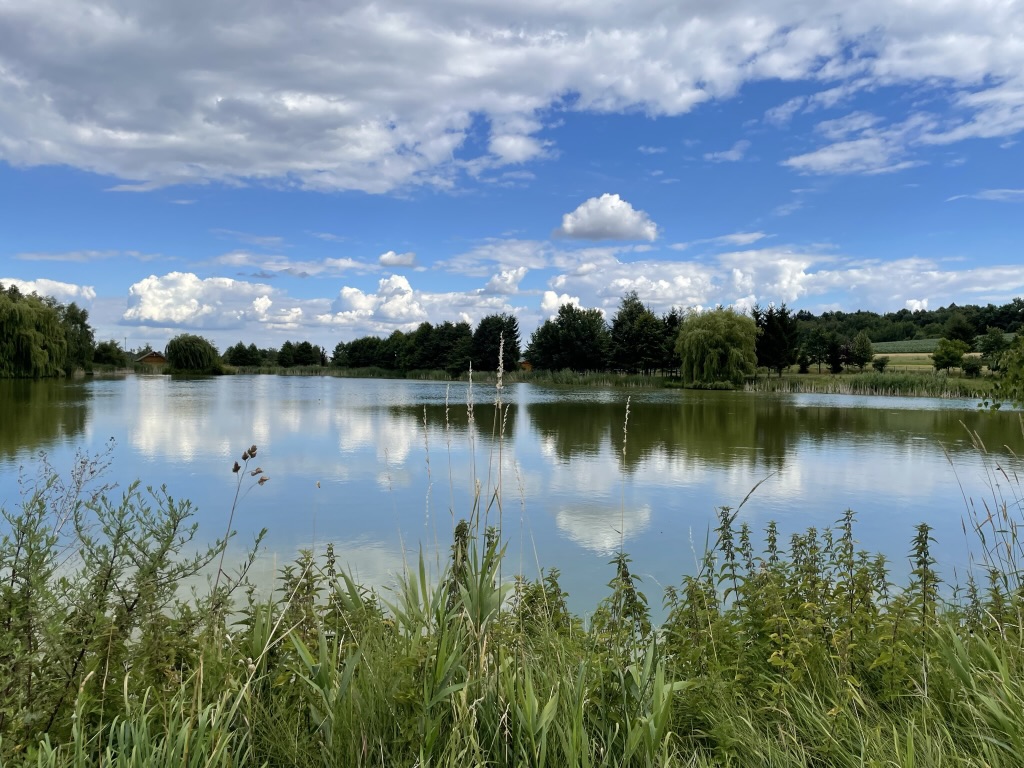 Z místních farem na stůl i do škol: Tišnovsko se mění v Živý region