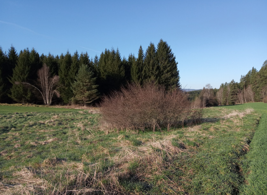 Vědci a nevládní organizace ministru Výbornému: neoslabujte ekologická opatření v zemědělských dotacích, zvyšujete tím rizika dopadu klimatických změn