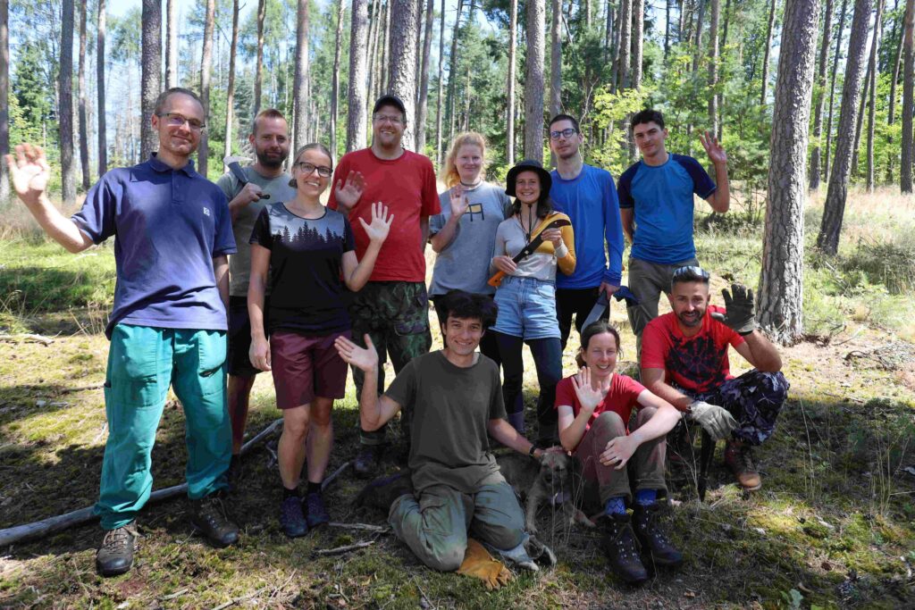 Netradičně pro biodiverzitu lesa: aby to u nás houkalo, bzučelo a švitořilo