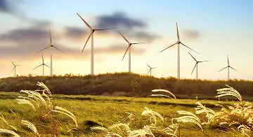 Fotovoltaické elektrárny nad obilným polem.